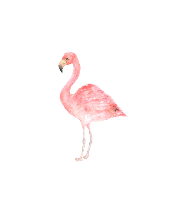 570x713 Flamingo Print, Watercolor Flamingo, Tropical Art, Tropical Print - Simple Watercolor Animals