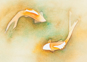 300x214 Watercolor Painting Lesson Of Koi Fish - Simple Watercolor Paintings