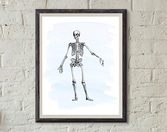 340x270 Skeleton Watercolor Etsy - Skeleton Watercolor