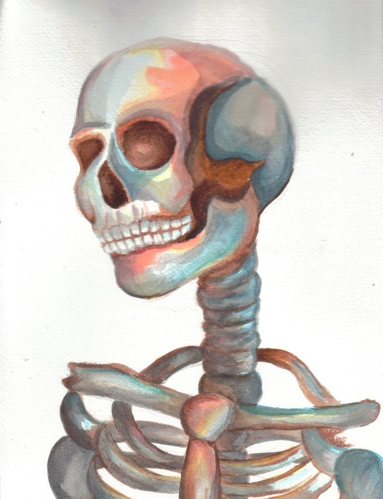 783x1021 Skull Watercolour Practice By Amylouisezombie - Skeleton Watercolor