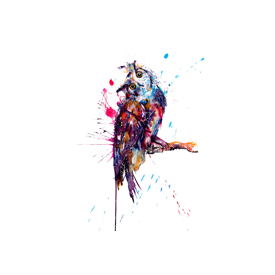 905x905 Owl Tattoo Watercolor Painting Drawing Sketch - Sketch Watercolor Tattoo