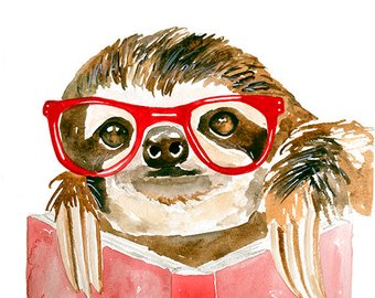 340x270 Colorful Sloth Art Print Sloth Art Sloth Watercolor Etsy - Sloth Watercolor