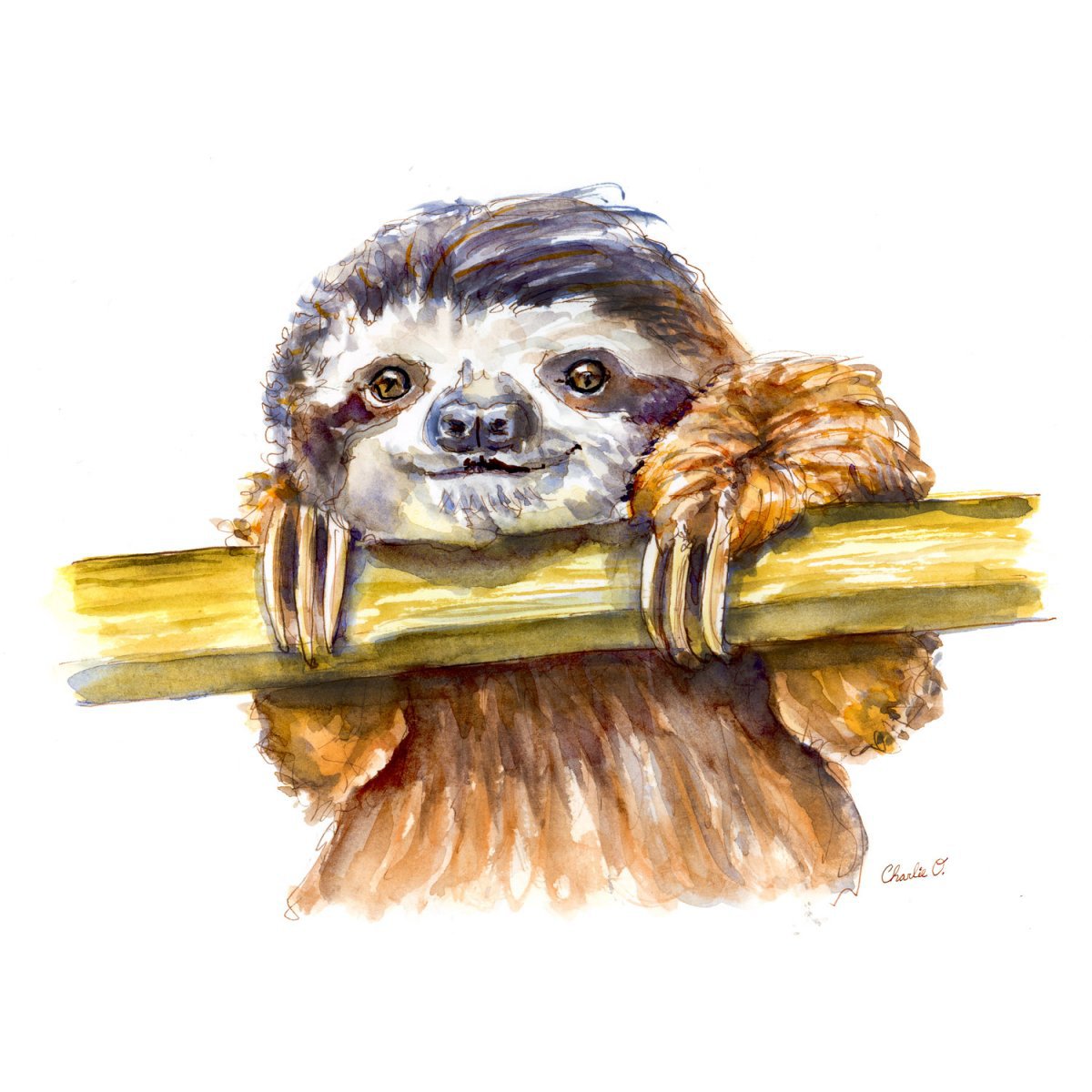 1200x1200 ~ Forest Animals Sloth Watercolor Print - Sloth Watercolor