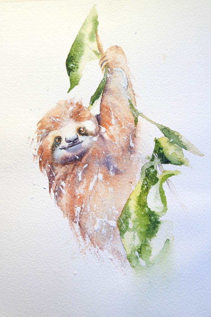 683x1024 Happy Sloth Watercolours By Rachel - Sloth Watercolor