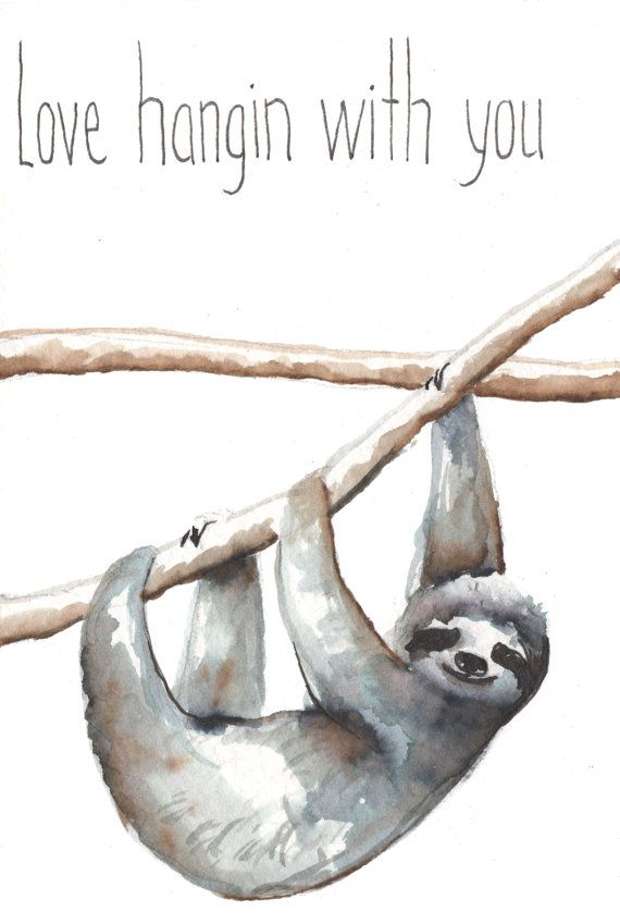 570x849 Sloth Original Watercolor Animal Print Sloth Sloth - Sloth Watercolor