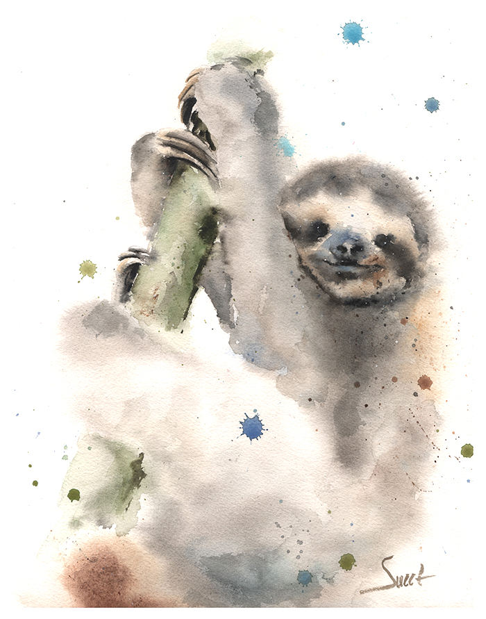 700x891 Sloth Watercolor Print Watercolor Animal Paintings - Sloth Watercolor