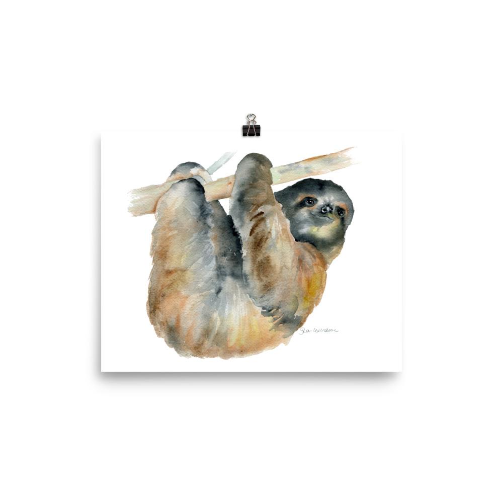 1000x1000 Sloth Watercolor Susan Windsor - Sloth Watercolor