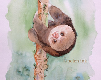 340x270 Sloth Watercolor Etsy - Sloth Watercolor