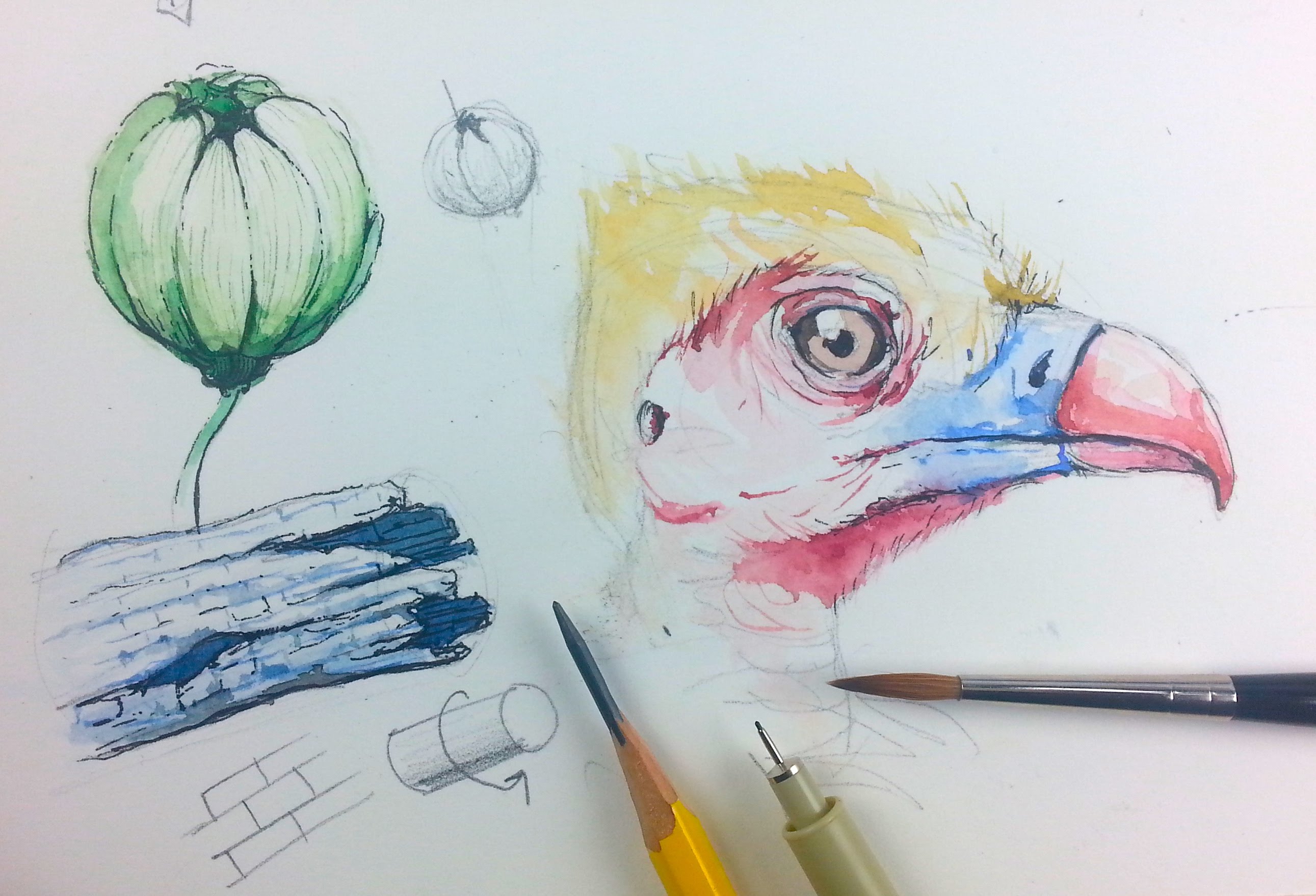 2582x1759 Beginner Watercolor Exercises How To Paint Small Details - Small Watercolor