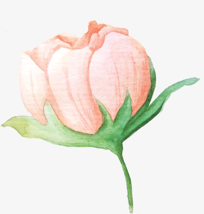 650x681 Watercolor Flowers, Watercolor Clipart, Small Fresh, Beautiful Png - Small Watercolor Flower