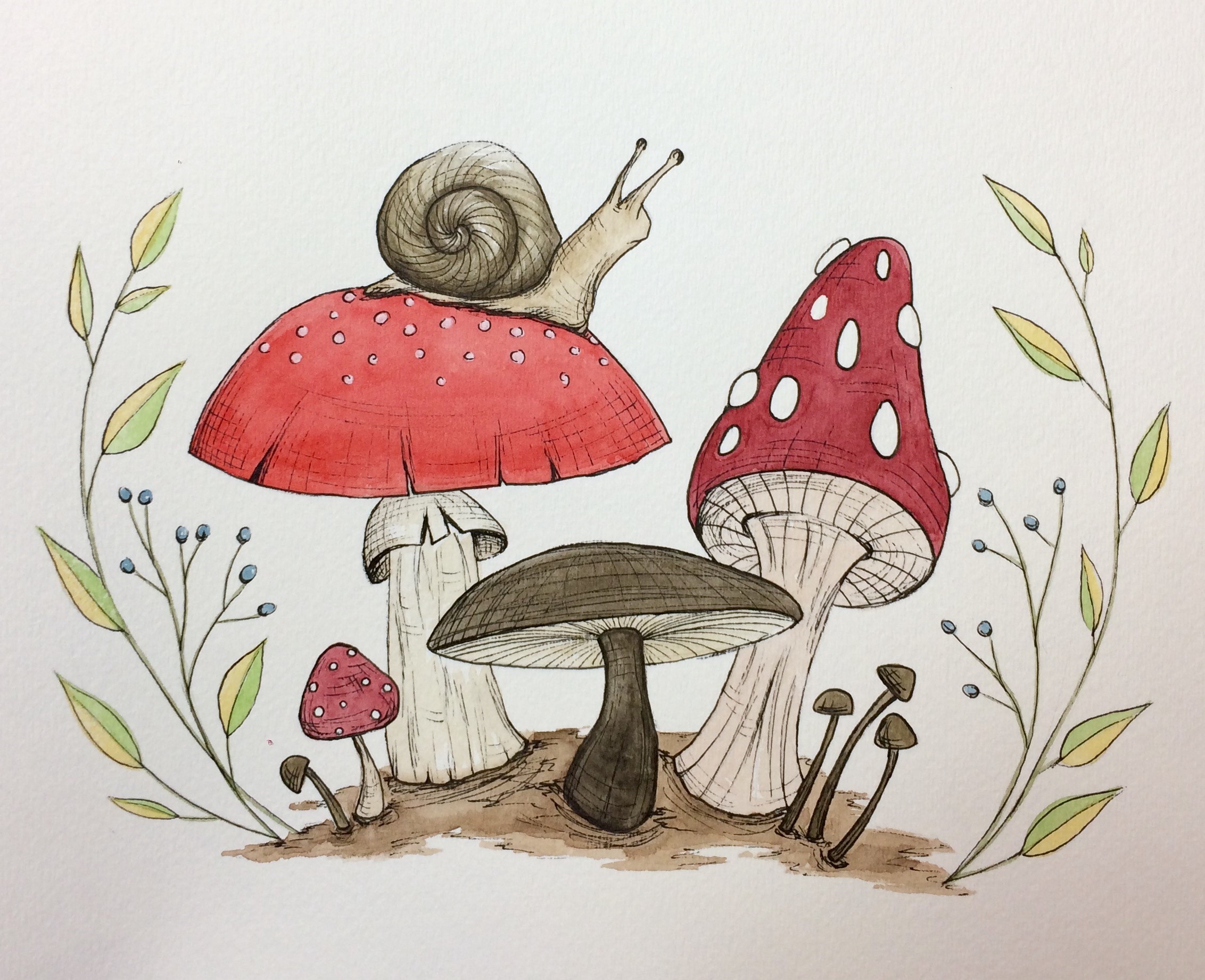 2264x1842 Snail Wc - Snail Watercolor