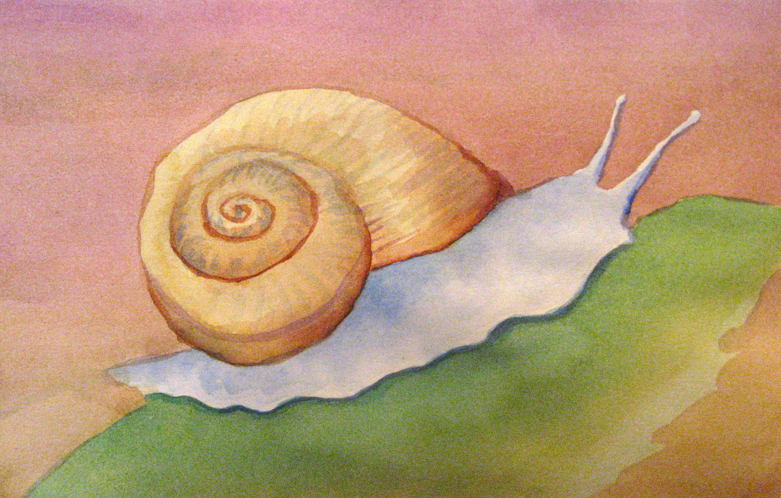 2510x1603 Snail Watercolor Hallsi Rose Killian - Snail Watercolor