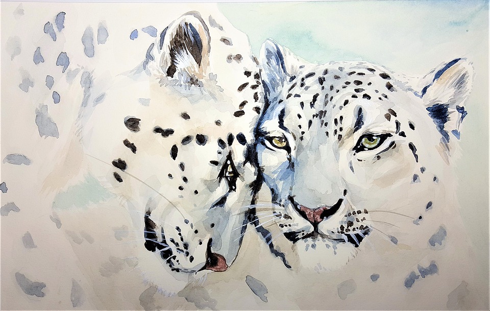 960x609 Free Photo Beast Cat Leopard Watercolor Art Paper Painting - Snow Leopard Watercolor