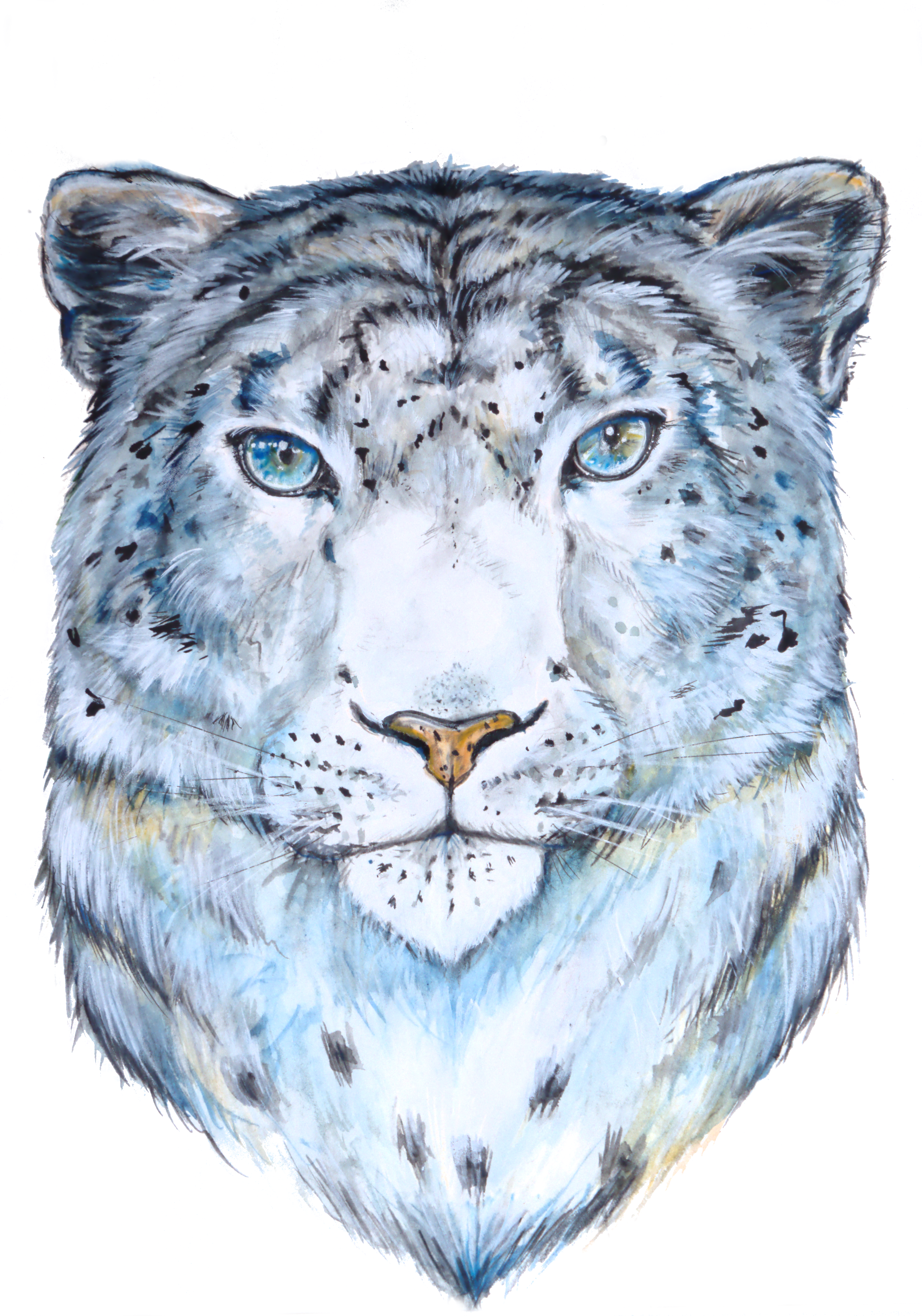 3993x5698 Print Of Watercolor Snow Leopard - Snow Leopard Watercolor