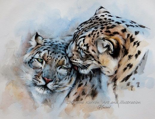 519x400 Unconditionally - Snow Leopard Watercolor