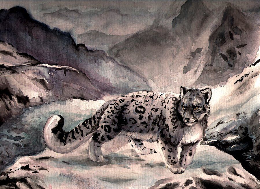 900x653 Snowleopard In Watercolor By On - Snow Leopard Watercolor