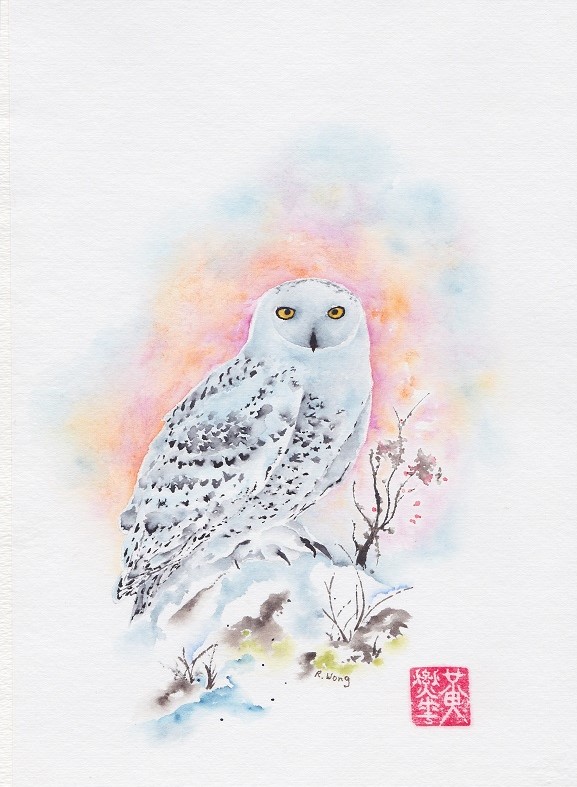 577x787 Richard Wong - Snowy Owl Watercolor