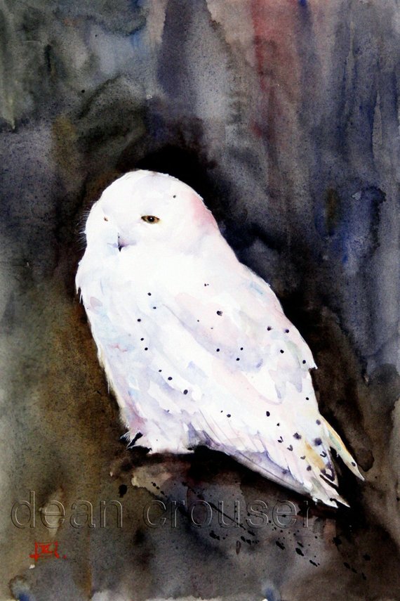 570x855 Snowy Owl Watercolor Print By Dean Crouser Etsy - Snowy Owl Watercolor