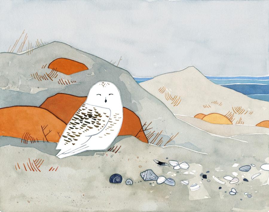 900x710 Snowy Owl Beach Print, Watercolor Art Print - Snowy Owl Watercolor