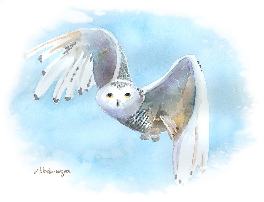 900x688 Snowy Owl In Flight Painting By Arline Wagner - Snowy Owl Watercolor