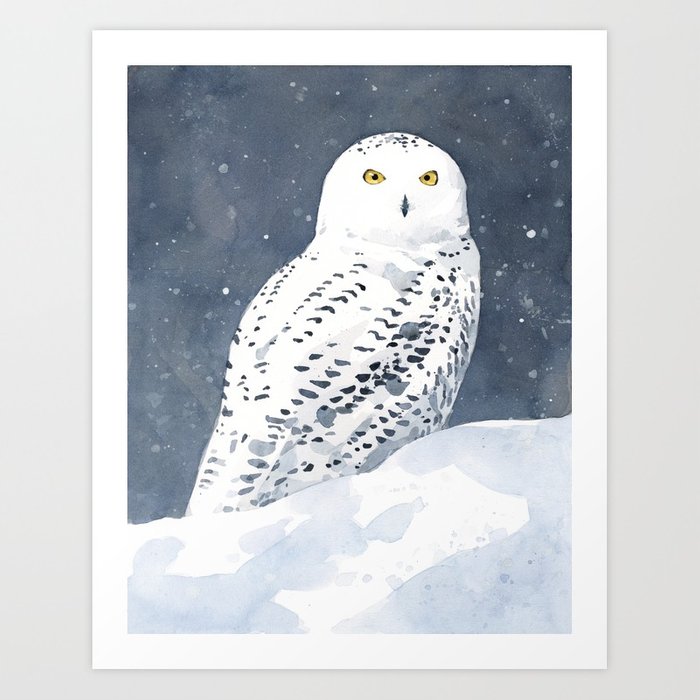 700x700 Snowy Owl Watercolor Art Print By Studiotuesday Society6 - Snowy Owl Watercolor