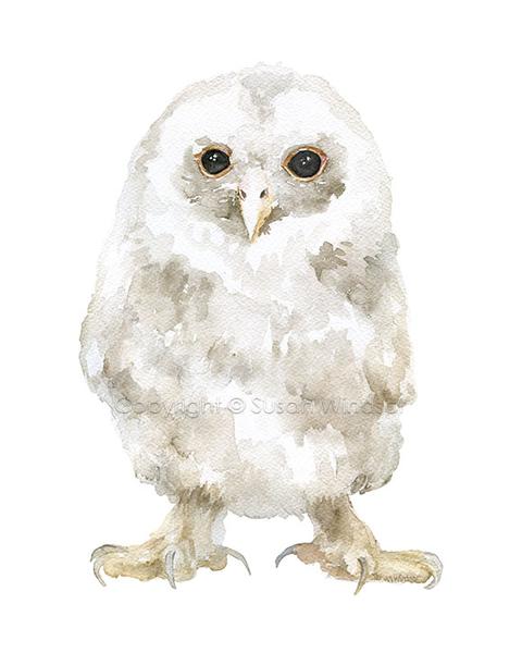 480x600 Tawny Owl Original Watercolor Painting Susan Windsor - Snowy Owl Watercolor