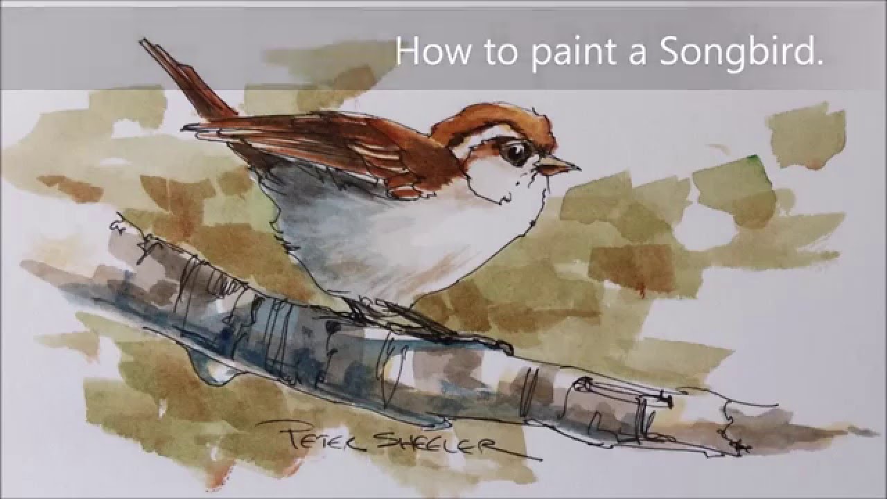 1280x720 How To Paint A Bird, Sparrow Demonstration. A Fun Line And Wash - Sparrow Watercolor