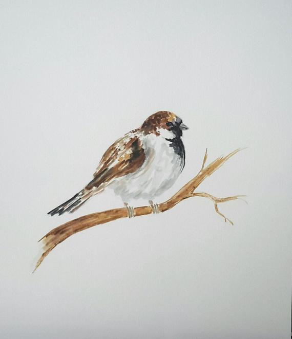 570x660 Original Watercolour Painting Of Sparrow Watercolour Bird Etsy - Sparrow Watercolor