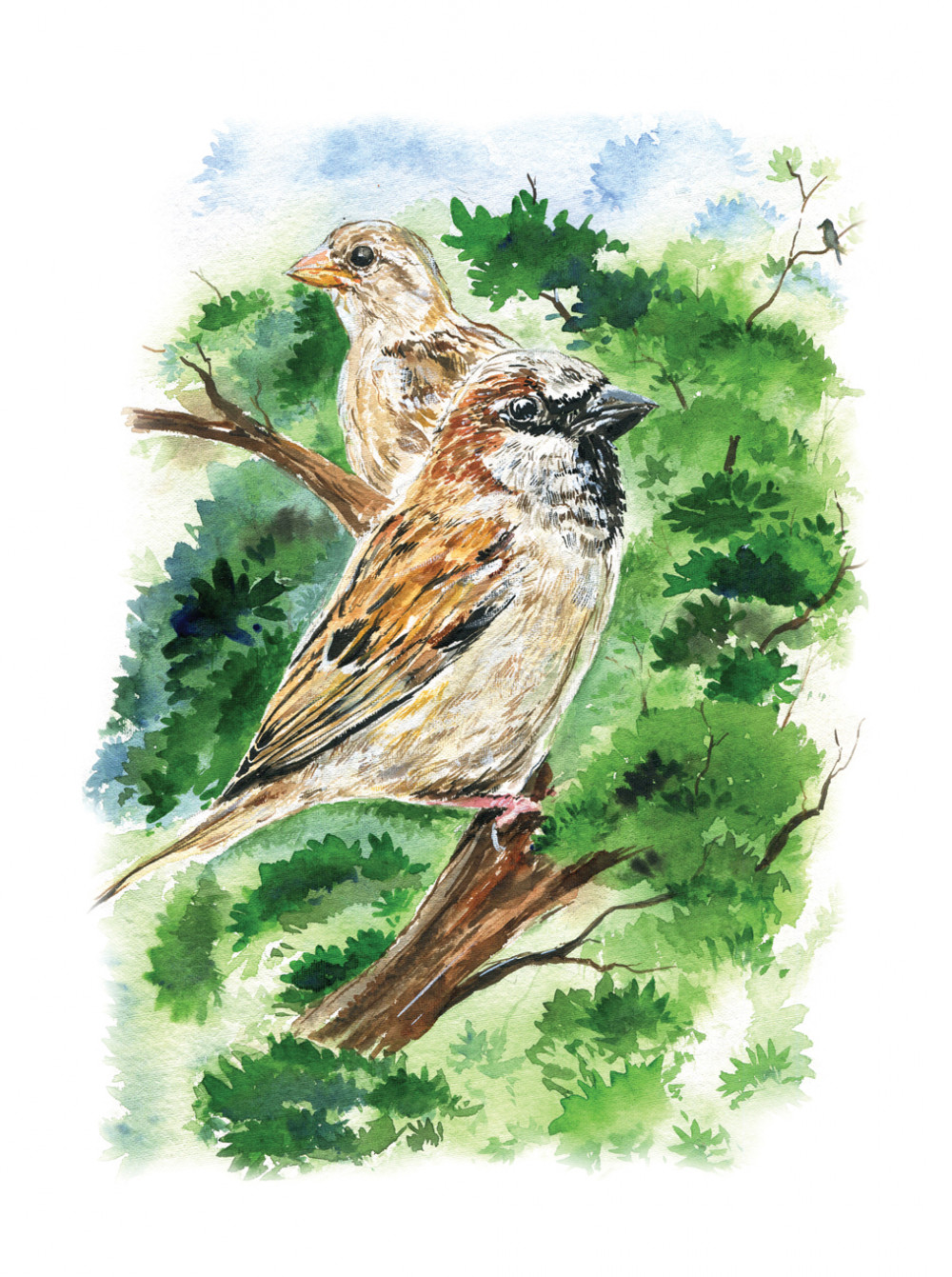 1000x1341 Sparrow, Painting By Rohit Gohil Contemporary Artwork On - Sparrow Watercolor