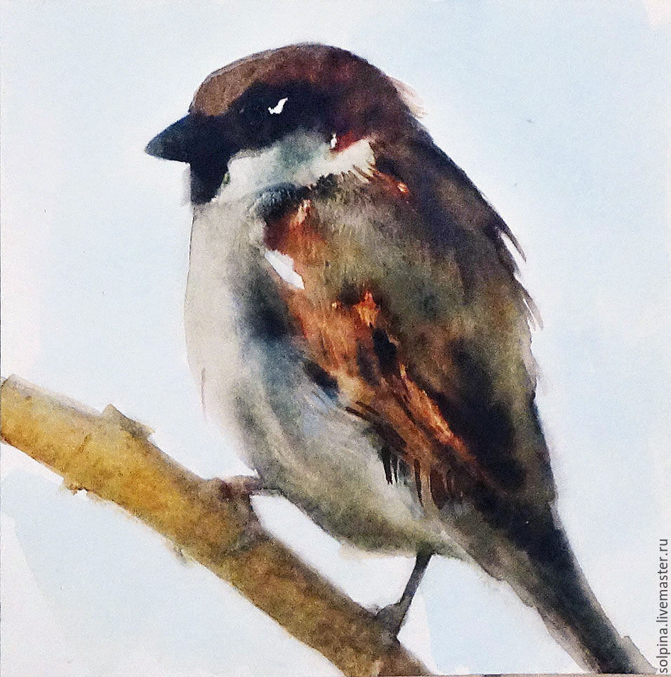 956x965 Sparrow On A Branch. Watercolor Shop Online On Livemaster With - Sparrow Watercolor