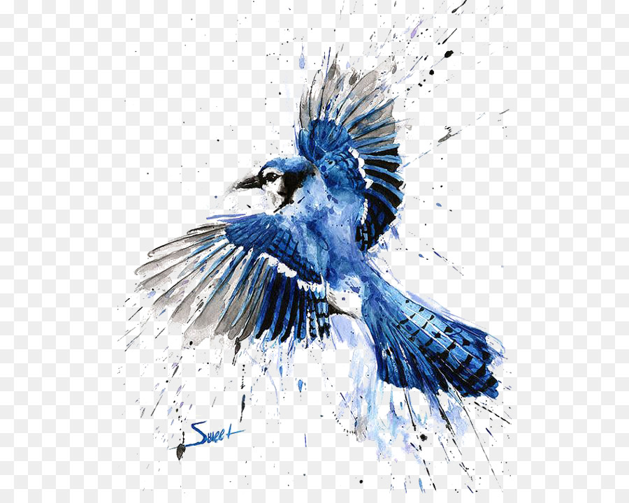 900x720 Bird Blue Jay Watercolor Painting Art - Sparrow Watercolor