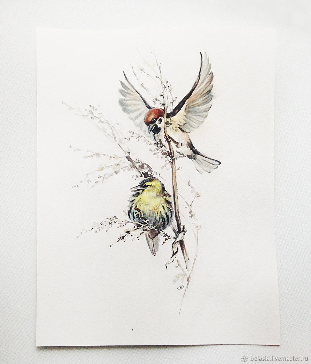 1024x1198 Watercolor Painting Sparrow And Siskin Shop Online On Livemaster - Sparrow Watercolor