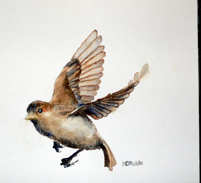 400x365 Watercolor Blog Female House Sparrow - Sparrow Watercolor