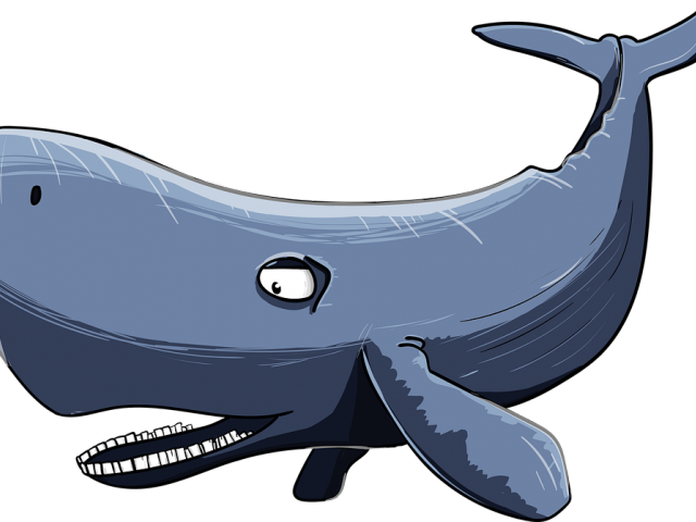 640x480 Sperm Whale Clipart Watercolor 1 - Sperm Whale Watercolor
