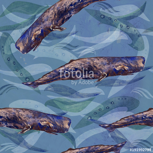 500x500 Sperm Whale, Cachalot, Hand Painted Watercolor Illustration - Sperm Whale Watercolor