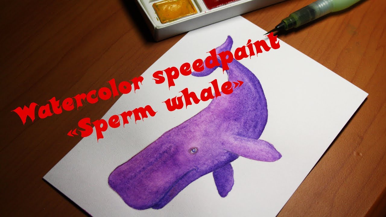 1280x720 Watercolor Sperm Whale - Sperm Whale Watercolor