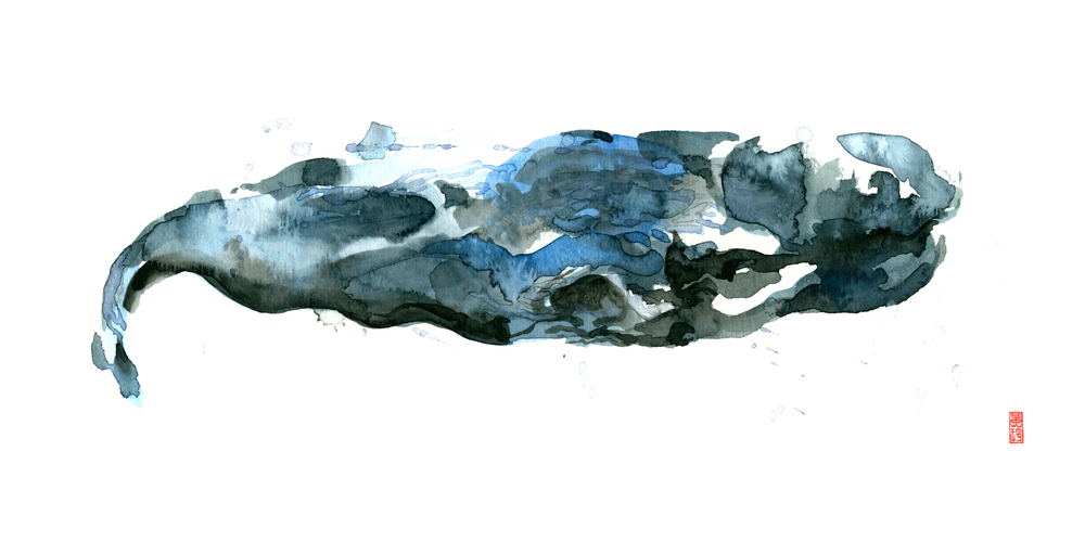 1000x500 Watercolor Jade Wu Studio - Sperm Whale Watercolor