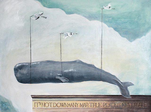 640x476 Image Result For Sperm Whale Watercolor Painting Fish - Sperm Whale Watercolor