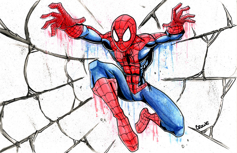 800x518 Watercolor Spiderman By Stevencrowe - Spiderman Watercolor