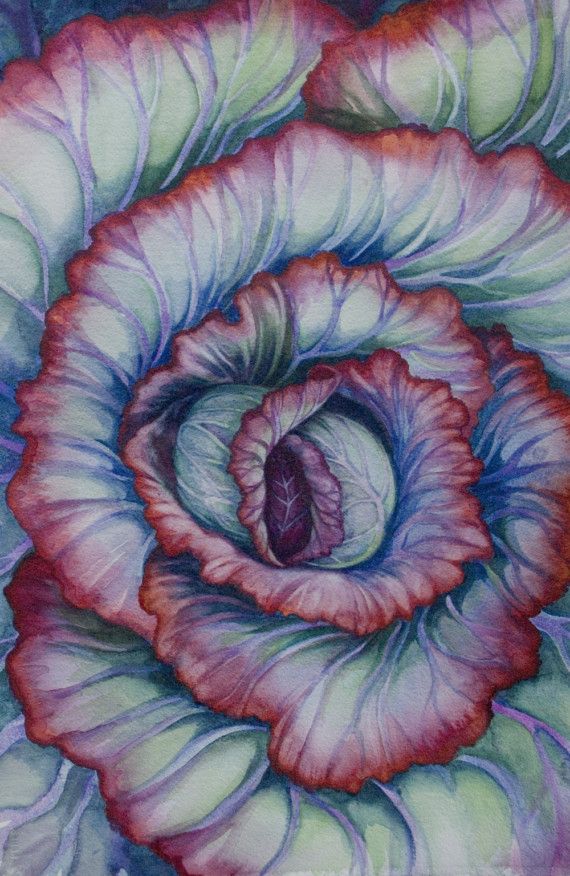 570x876 Spiral Cabbage Original Watercolor Painting Art Paintings - Spiral Watercolor