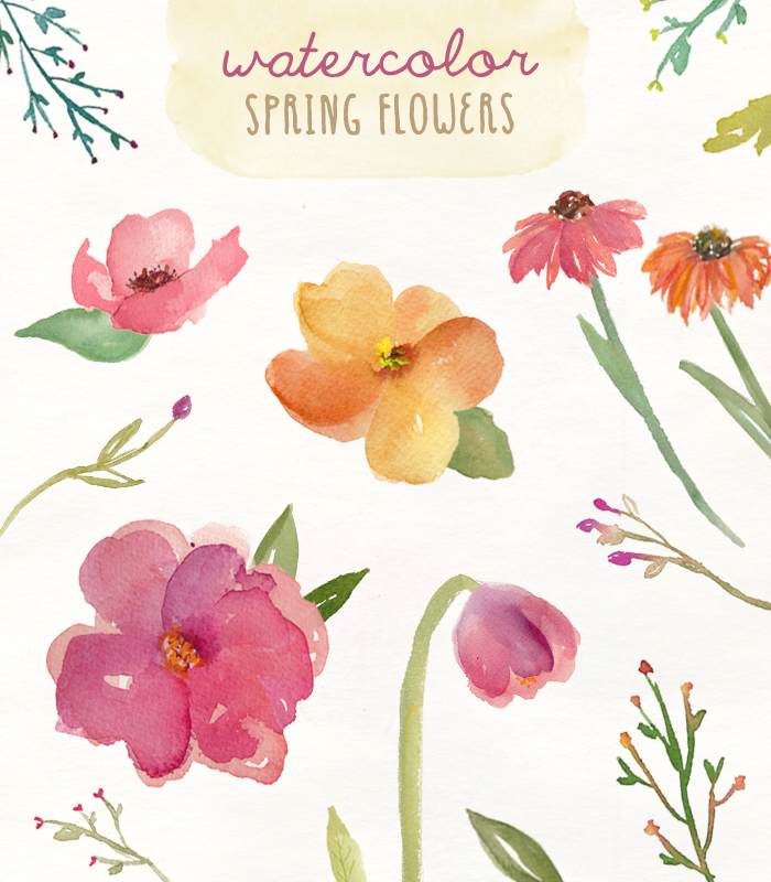 700x800 These Watercolour Clip Art Spring Flowers Are Super Cute! - Spring Flowers Watercolor