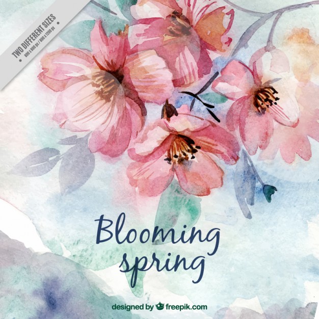 626x626 Watercolor Flowers Vectors, Photos And Psd Files Free Download - Spring Flowers Watercolor