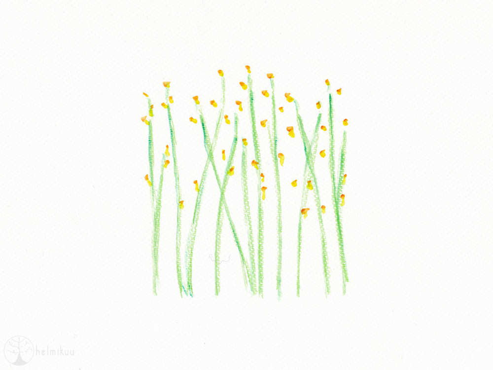 1000x750 Spring Flowers (Watercolor) Blogged - Spring Flowers Watercolor