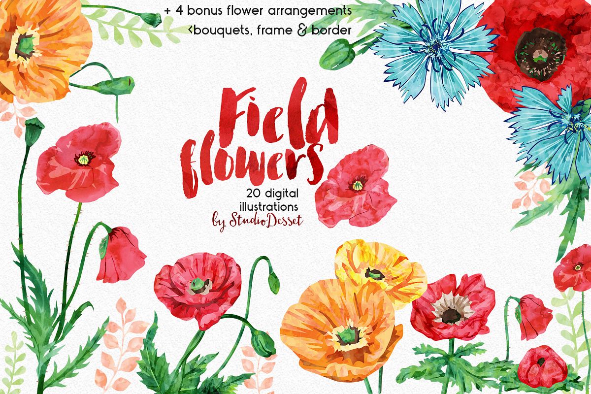 1200x800 Early Spring - Spring Flowers Watercolor