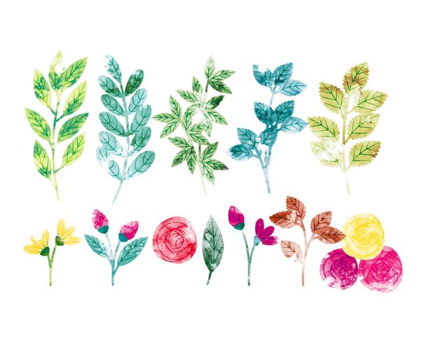 608x490 Vector Watercolor Spring Branches And Flowers - Spring Watercolor