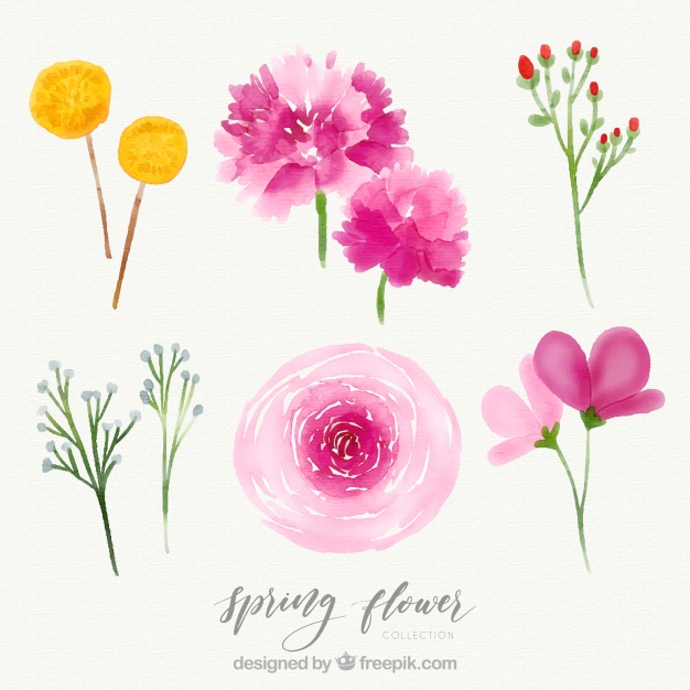 626x626 Creative Watercolor Spring Flower Set Vector Free Download - Spring Watercolor