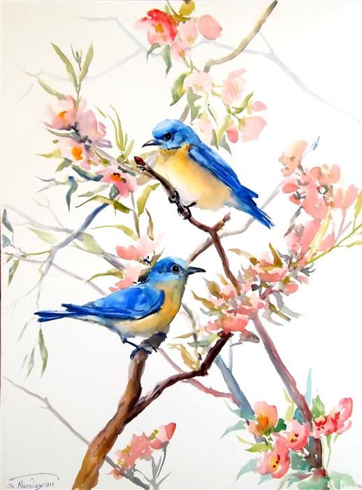 518x700 Image Result For Easy Watercolor Paintings For Beginners Art - Spring Watercolor Paintings