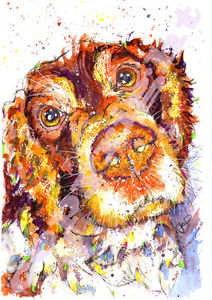 212x300 Springer Spaniel Print From Original Watercolour Painting - Springer Spaniel Watercolor