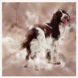 300x300 Springer Spaniel (W), Watercolour Grunge Fabric Cushion Craft - Springer Spaniel Watercolor