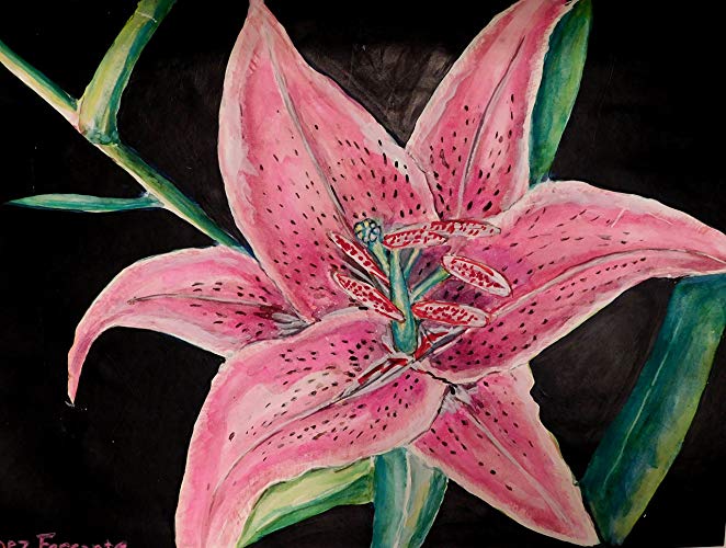 662x500 Watercolor Original Painting Stargazer Lily Flower - Stargazer Lily Watercolor